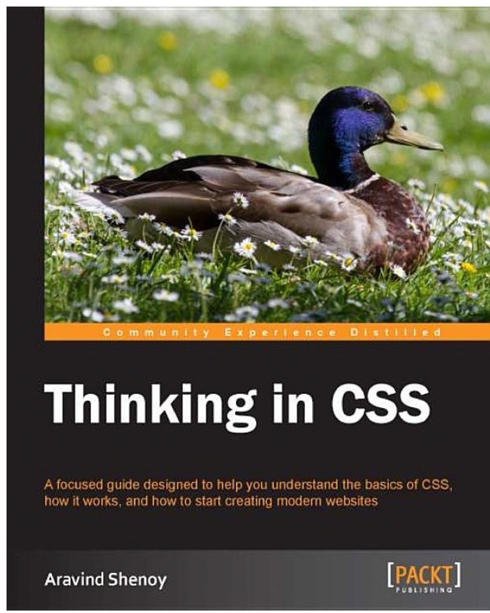 Thinking in CSS