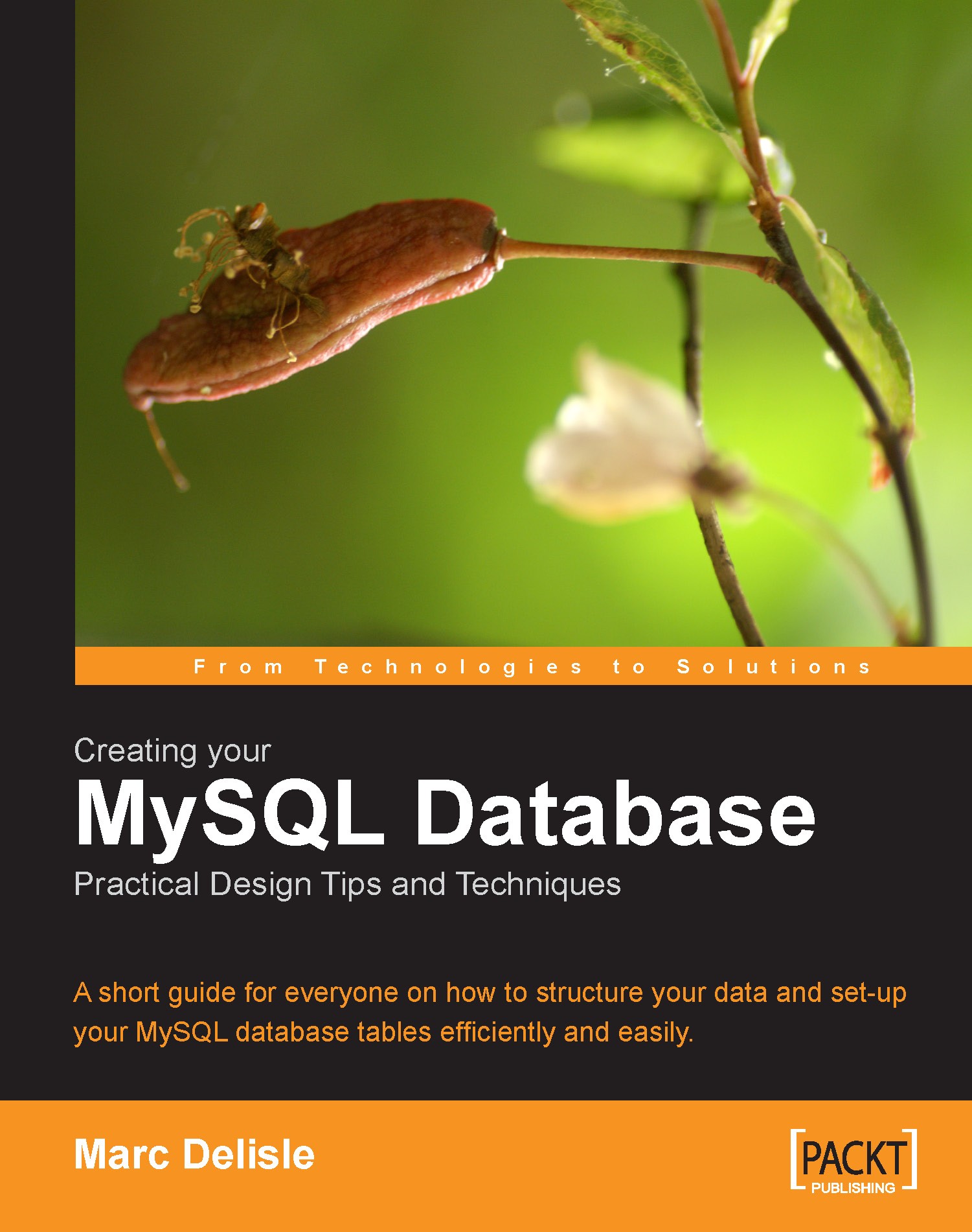 Creating Your MySQL Database: Practical Design Tips and Techniques