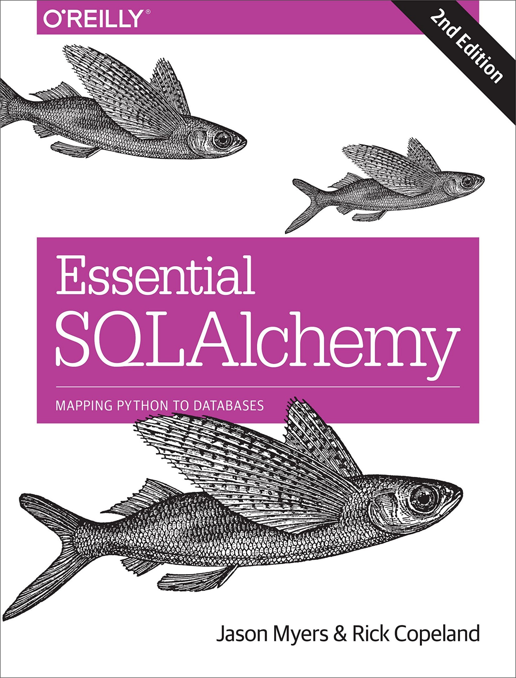 Essential SQLAlchemy: Mapping Python to Databases - Second Edition